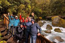 Milford Sound Full Day Tour from Te Anau with Cruise