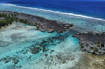 Tahaa Excursion in Electric Paddle Snorkeling Coral Garden