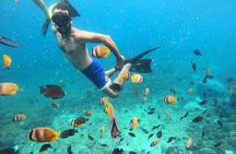 From Bali One Day Nusa Penida Tours with Manta Rays Snorkeling