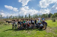Horseback riding, barbecue and wines in Tupungato, Uco Valley
