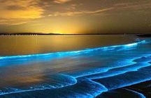 Night Tour-Luminating Blue Lagoon Waters