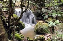 Adventurous Blue Mountains hike up the iconic Three Sisters