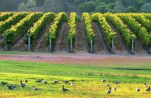 Margaret River Coastal Tour