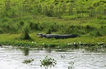 Kathmandu 2 Nights 3 Days Chitwan Jungle Safari Tour 
