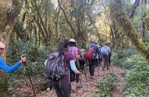 7 Days Mount Kilimanjaro Machame Route