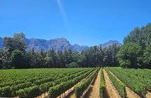 Table Mountain, Historic City and Winelands Private Day Tour