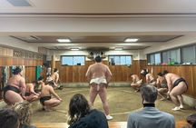 Watch the Real Sumo Morning Practice tour at Yokozuna stable
