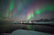 Tromsø: Express Aurora Hunt with Wandering Owl