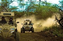 Quad Buggy Excursion Tour 
