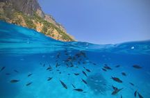 Gulf of Orosei Speedboat Trip with Aperitif from Cala Gonone