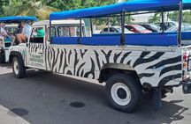Waterfall and Beach Safari in Santa Lucia