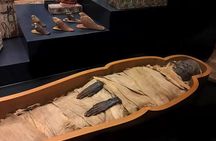 Half-Day Luxor Museum and Mummification Museum