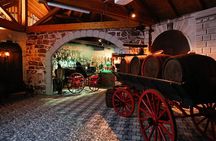 Private Sissi Palace tour in Godollo city with Puszta tour option