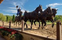 Budapest to Godollo Palace Private tour with Horse Show Option