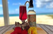 Mixology Class in Bridgetown – 10 Minutes from Cruise Terminal