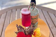 Mixology Class in Bridgetown – 10 Minutes from Cruise Terminal