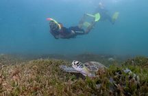 Snorkeling Tour with Fish and Turtles in San Juan