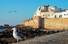 Day Trip to Essaouira from Marrakech