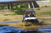 Desert and Beach UTV Adventure with Tequila Tasting