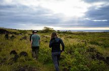 Private Tour Per Day In Following the Ancestral Orongo footprint and caves