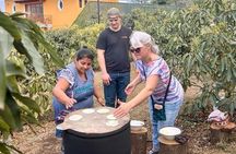Experience: Organic Coffee, Avocados, Honey & More!