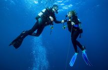 Scuba Reef Dive in Waikiki with One Tank