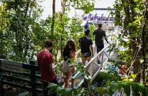 Morning Daintree Tour with River Cruise from Port Douglas