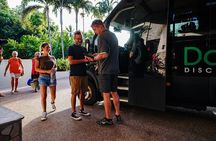 Morning Daintree Tour with River Cruise from Port Douglas