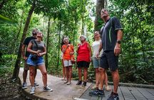 Daintree, Cape Tribulation & River Cruise from Port Douglas
