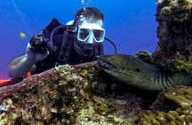 4 Hour Guided Scuba Diving Adventures in Waikiki