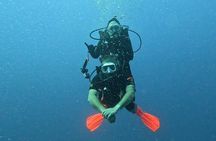 4 Hour Guided Scuba Diving Adventures in Waikiki