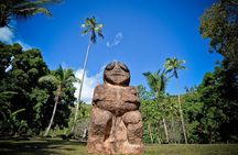 Private : Tahiti Museum & Circle Island Tour, Afternoon Tour (5h)