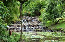 Private : Tahiti Museum & Circle Island Tour, Afternoon Tour (5h)