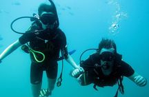 Discover Scuba diving with 2 dives on Koh Tao 