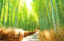 Traversing Kyoto's Scenic West - Arashiyama to Kinkakuji