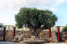 Minoan Day Experience