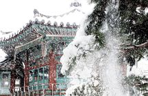 Seoul Private RV tour, explore real Korea from Past to Future