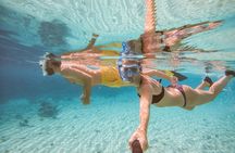 Tiran Island, Snorkeling with Transfers & Lunch - Sharm El Sheikh