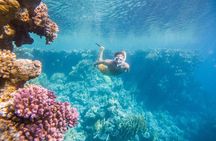 Marsa Mubarak Snorkeling Sea Trip & Transfer & Lunch :Marsa Alam
