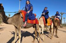 Marrakech day Trip from Casablanca with FREE Camel Ride