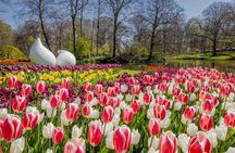 Keukenhof Day Trip from Rotterdam Cruise Terminal & City Center