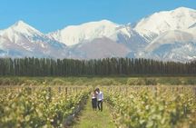 Vineyards with Wine Tasting in Mendoza