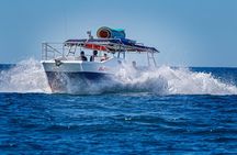 Bay Trip and the Arch of Cabo San Lucas 