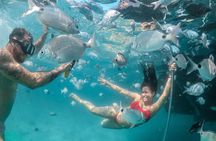 Angra dos Reis and Ilha Grande Boat Tour from Rio de Janeiro