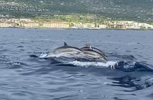6 Hour Private Charter in Kona