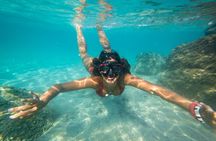 4 Hour Private Snorkeling Tour in Kona