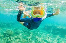 4 Hour Private Snorkeling Tour in Kona