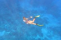 Half Day Private Cruise Tour with Snorkeling and Fishing in Kona