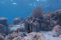 All-Inclusive Full-Day Hol Chan Snorkeling Tour 