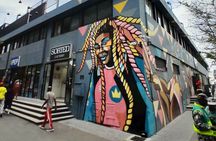 Artistic Half Day Tour of Johannesburg